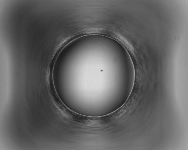 X0000116350107200912091138