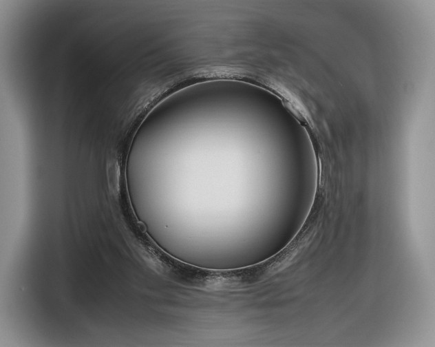 X0000116350109200912091138