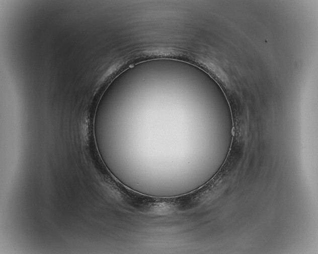 X0000116350111200912091137