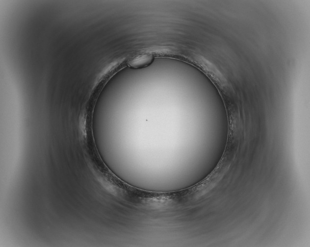 X0000116350112200912091137