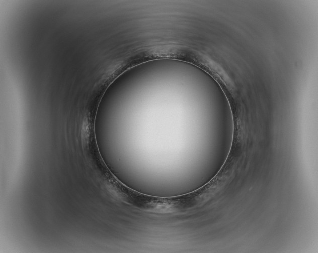 X0000116350113200912091137