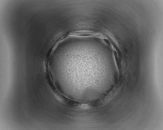 X0000116350114200912091137