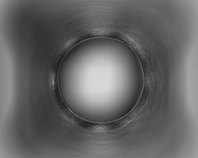 X0000116350115200912091137