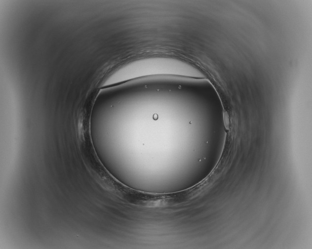 X0000116350116200912091137