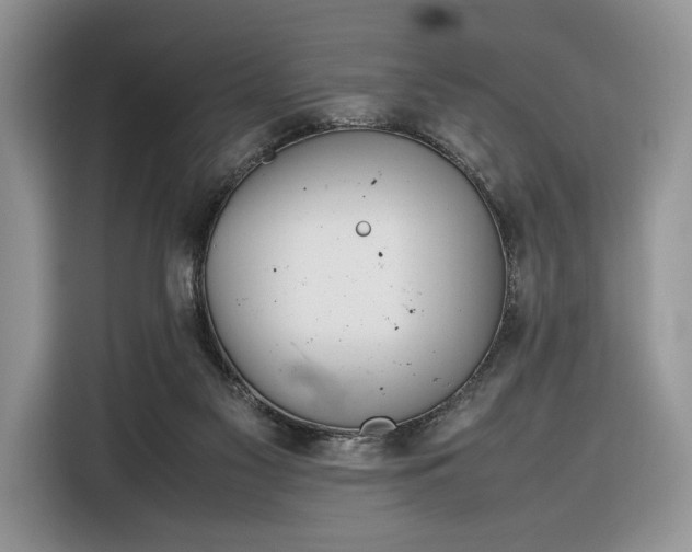 X0000116350117200912091137