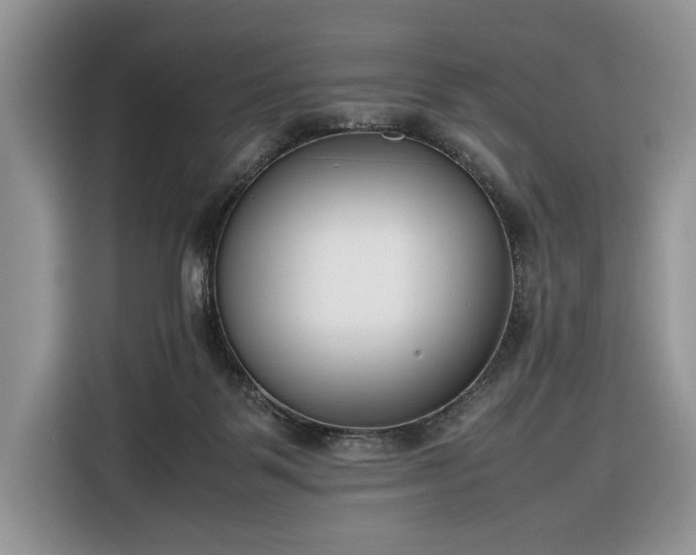 X0000116350123200912091137