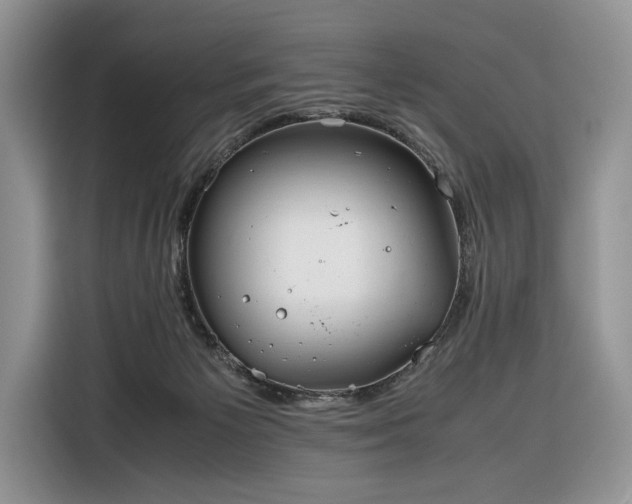 X0000116350125200912091137