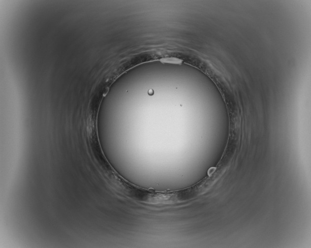 X0000116350129200912091137