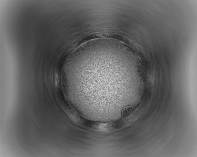 X0000116350130200912091137