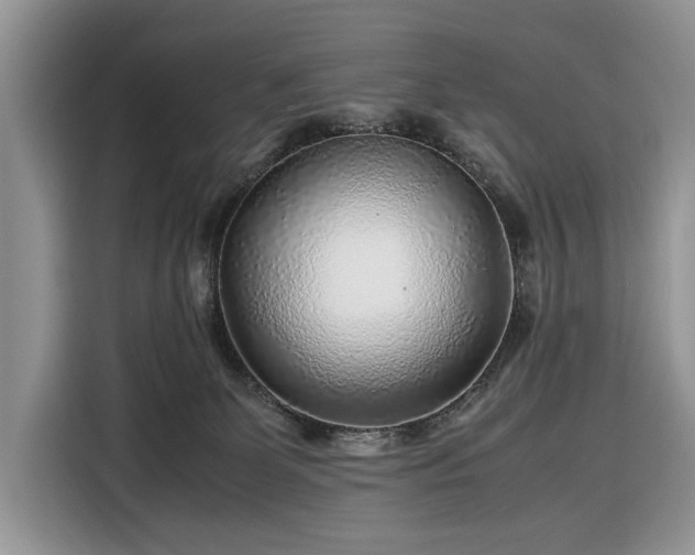 X0000116350131200912091137