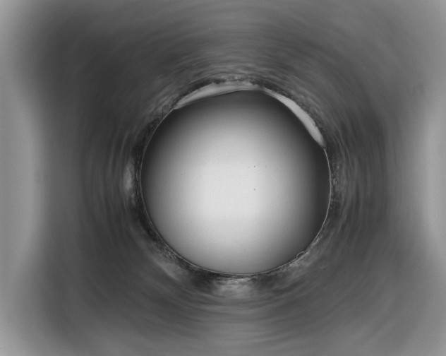 X0000116350132200912091137