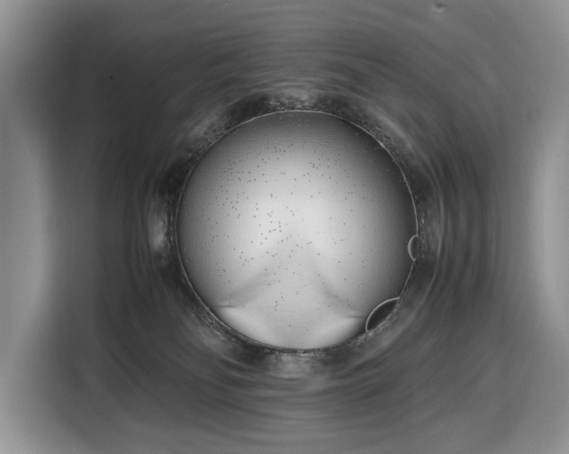 X0000116350134200912091137