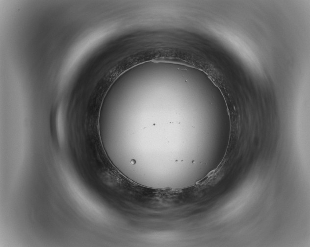 X0000116350140200912091137