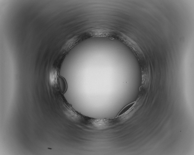 X0000116350142200912091137