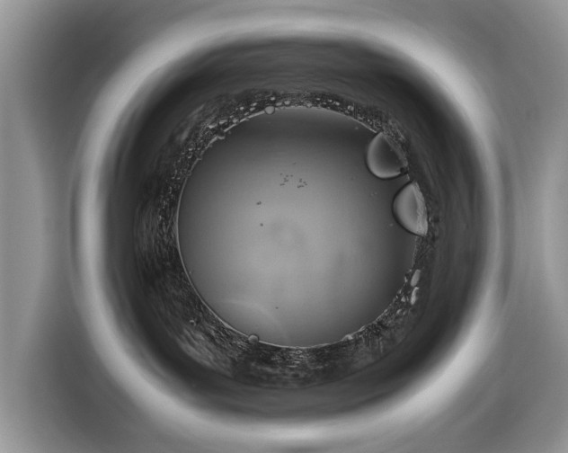 X0000116350143200912091137