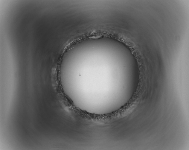 X0000116350144200912091137