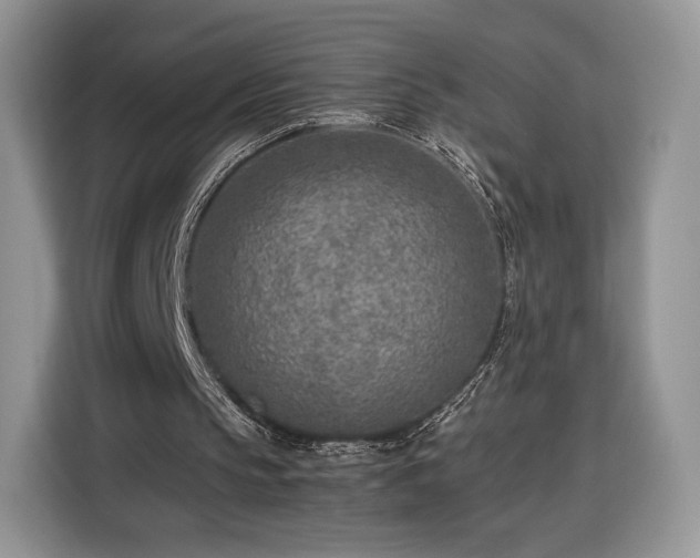 X0000116350145200912091136