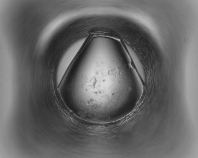 X0000116350146200912091136