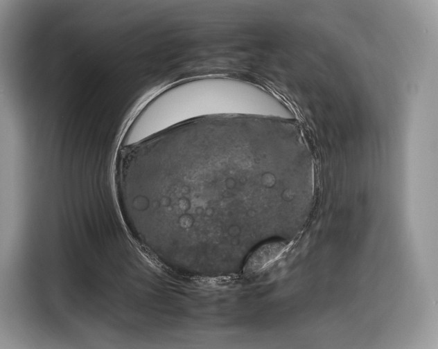 X0000116350147200912091136