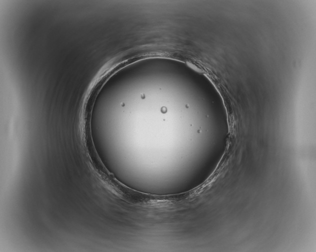 X0000116350150200912091136