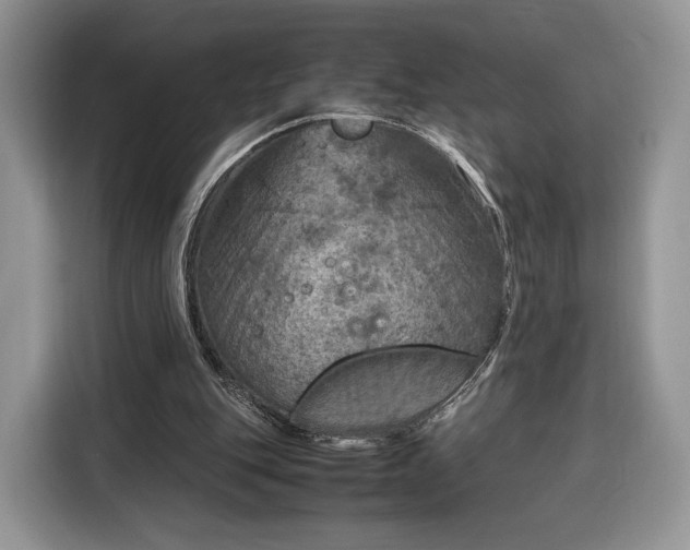 X0000116350151200912091137