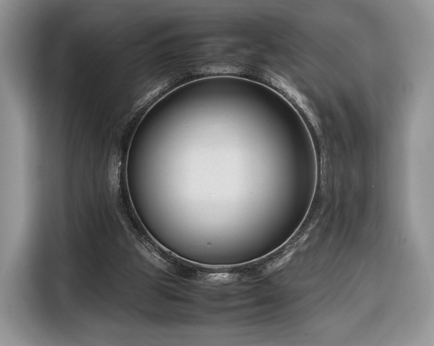 X0000116350153200912091137