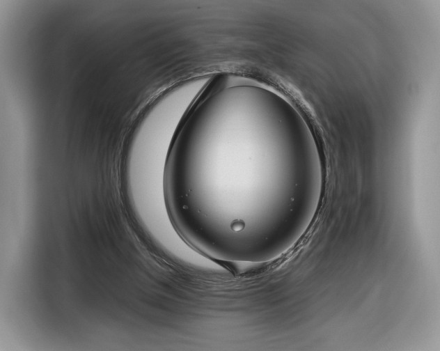 X0000116350154200912091137