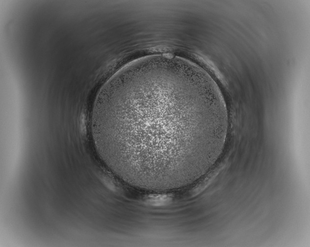 X0000116350161200912091137