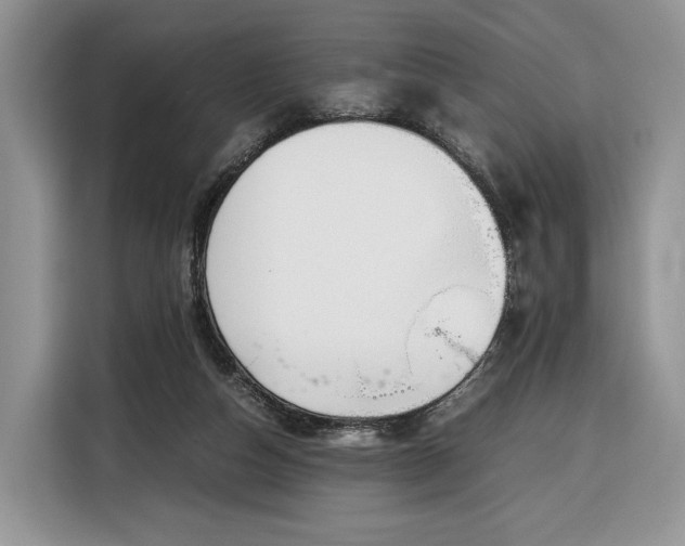 X0000116350162200912091137