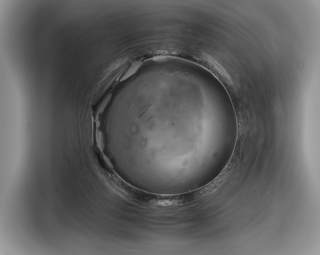 X0000116350163200912091137