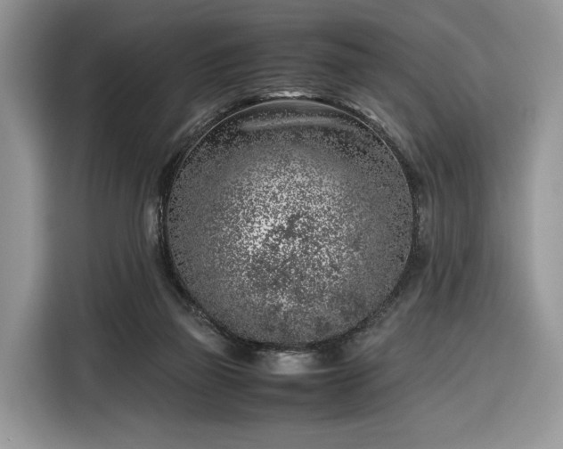 X0000116350165200912091137