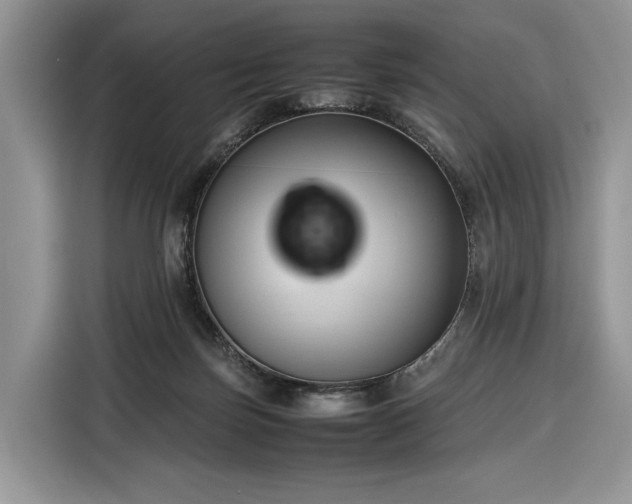 X0000116350171200912091137