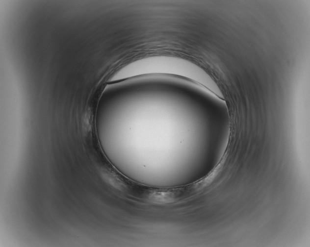 X0000116350174200912091137