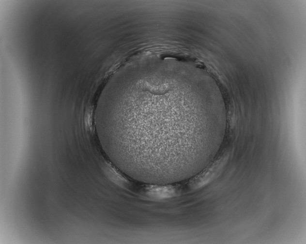 X0000116350185200912091137