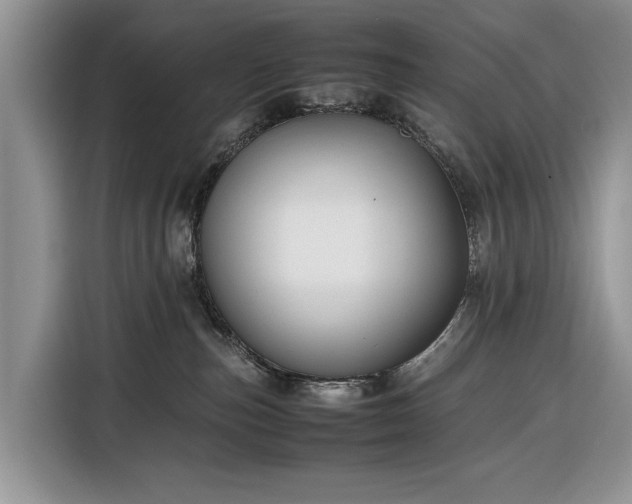 X0000116350187200912091137