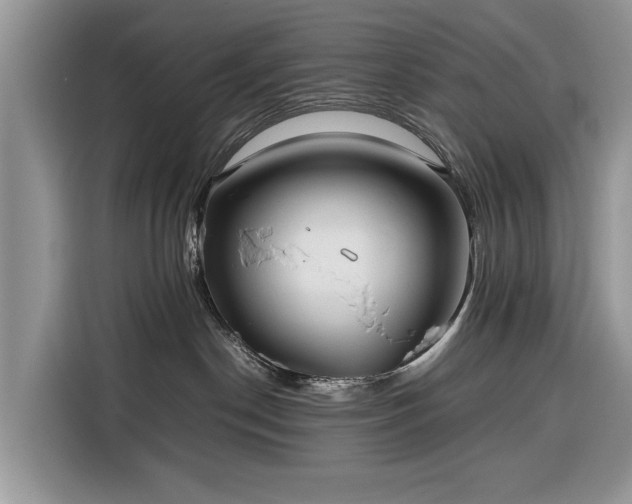 X0000116350190200912091137