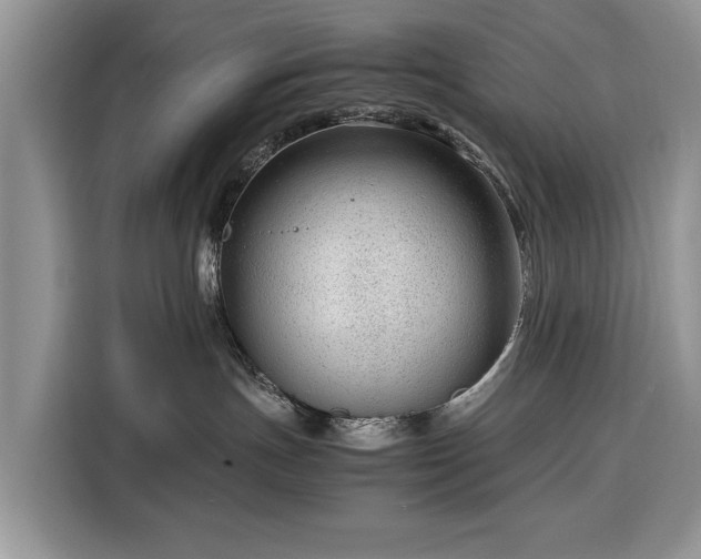 X0000116350191200912091137