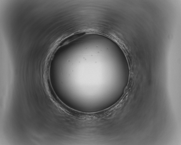 X0000116350193200912091136