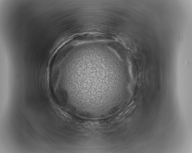 X0000116350194200912091136