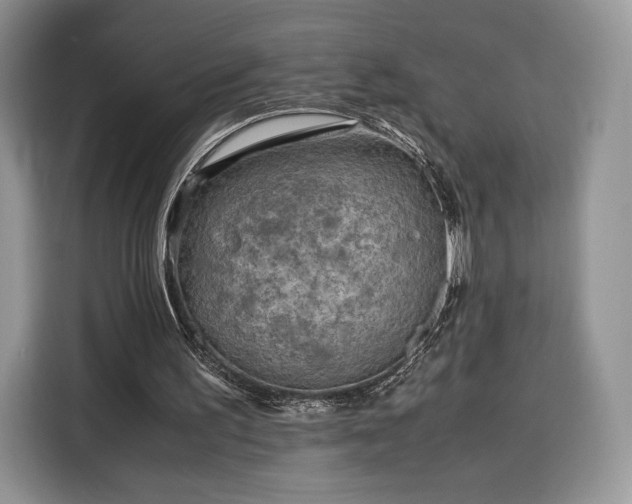 X0000116350195200912091136