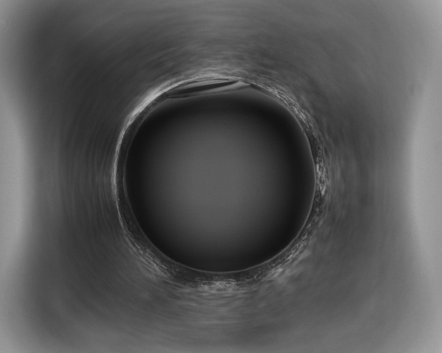 X0000116350196200912091136