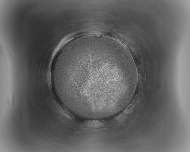 X0000116350198200912091136