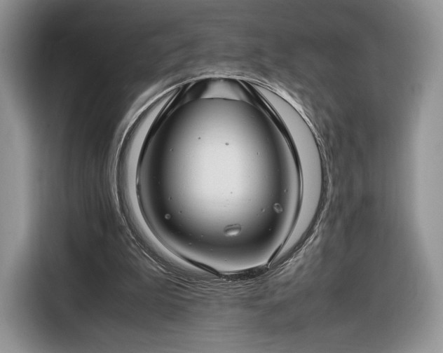 X0000116350199200912091136