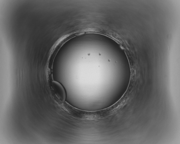 X0000116350200200912091136