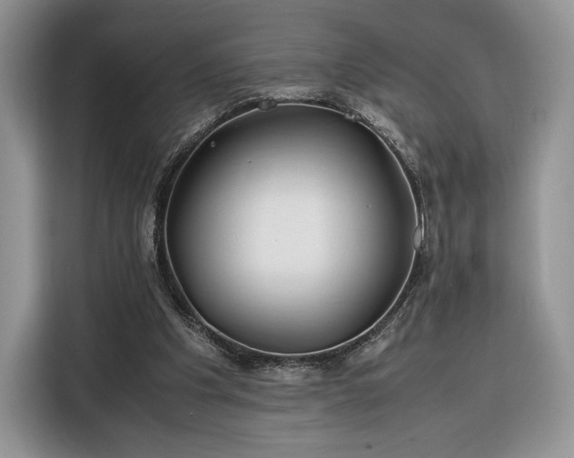 X0000116350201200912091136