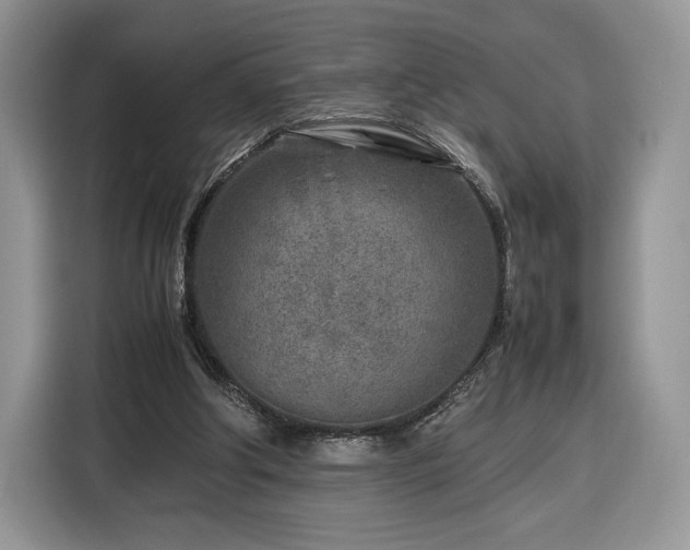 X0000116350202200912091136