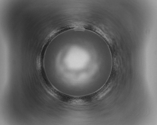 X0000116350203200912091136