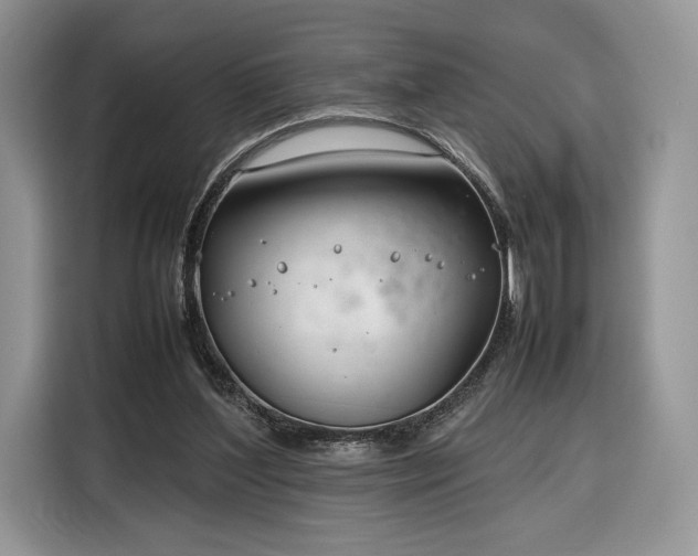 X0000116350204200912091136