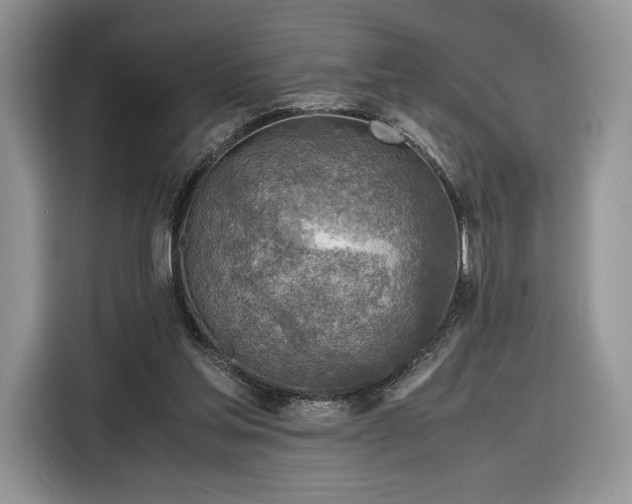 X0000116350205200912091136