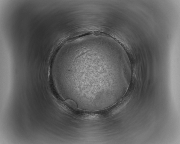 X0000116350206200912091136